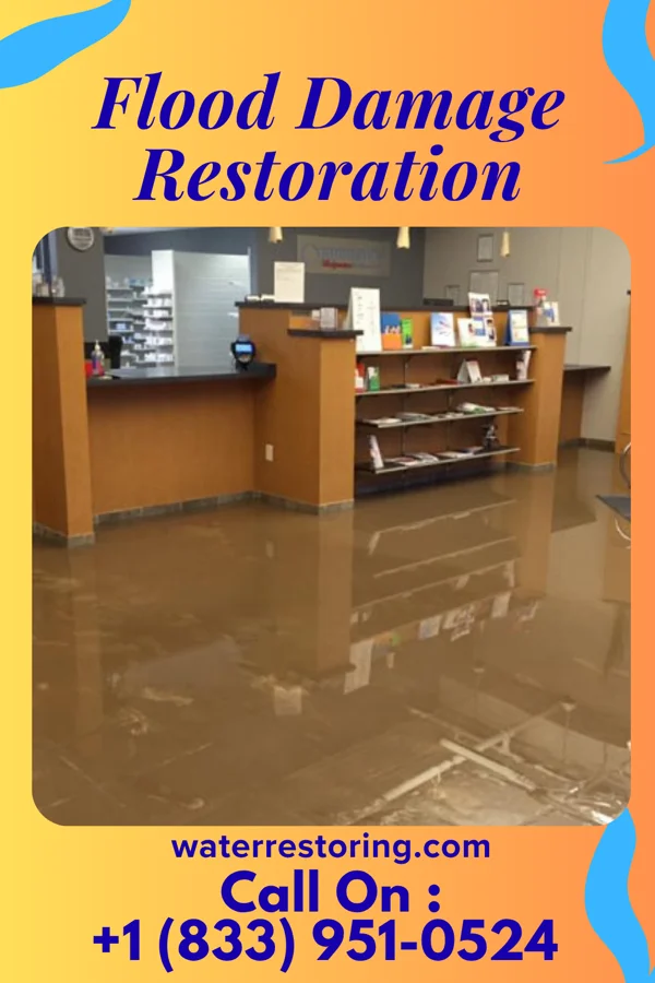 Flood Damage Restoration in Hemby Bridge, NC
