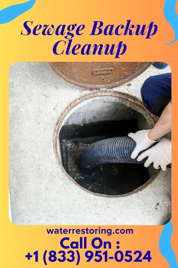 Sewage Backup Cleanup in Hemby Bridge, NC