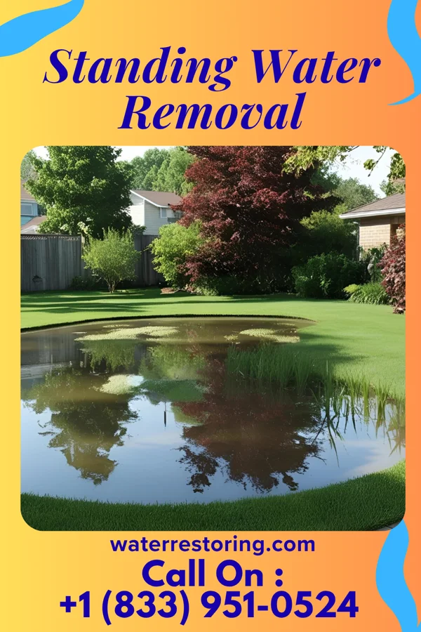 Standing Water Removal in Hemby Bridge, NC